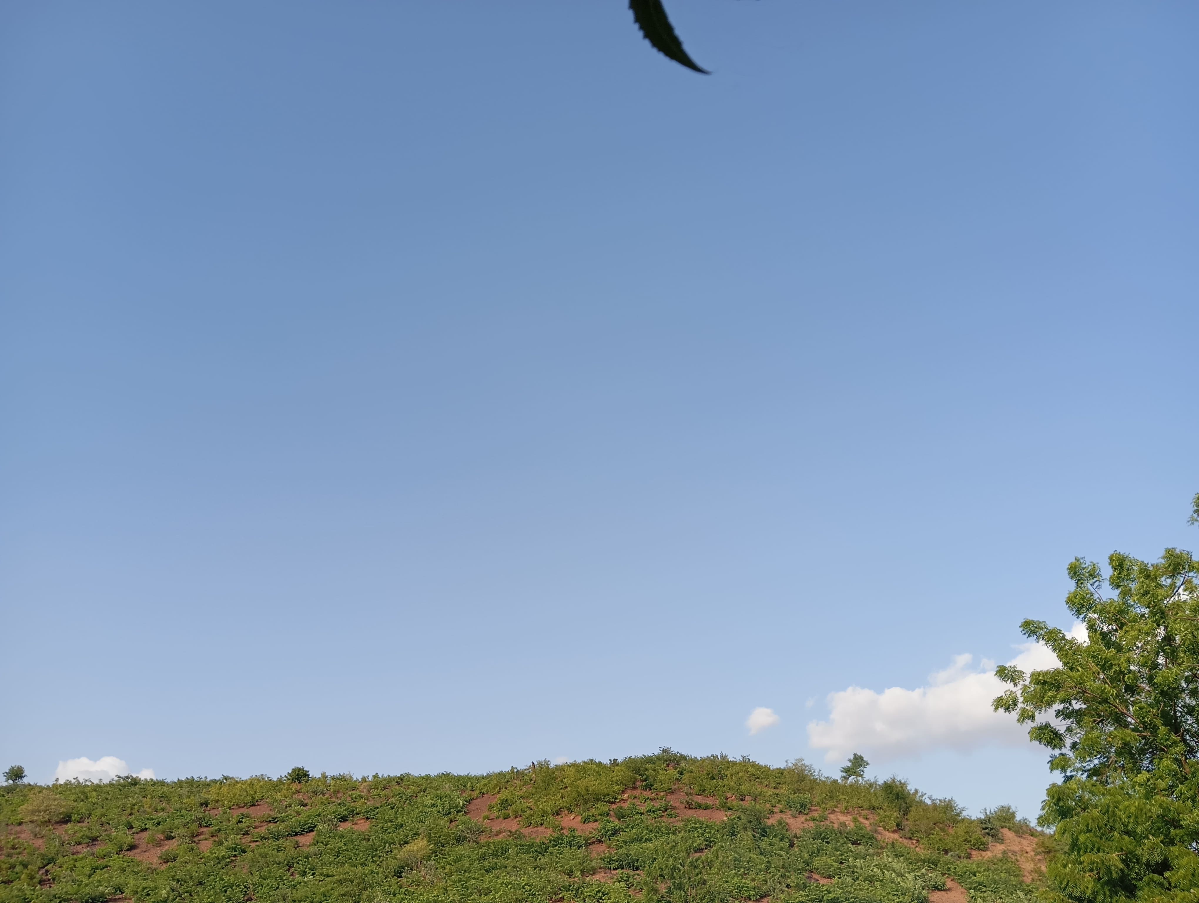 a stunning view I captured of a mini hill
